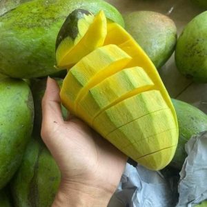 XOÀI ĐÀI LOAN GIÁ TRỊ KINH TẾ CAO